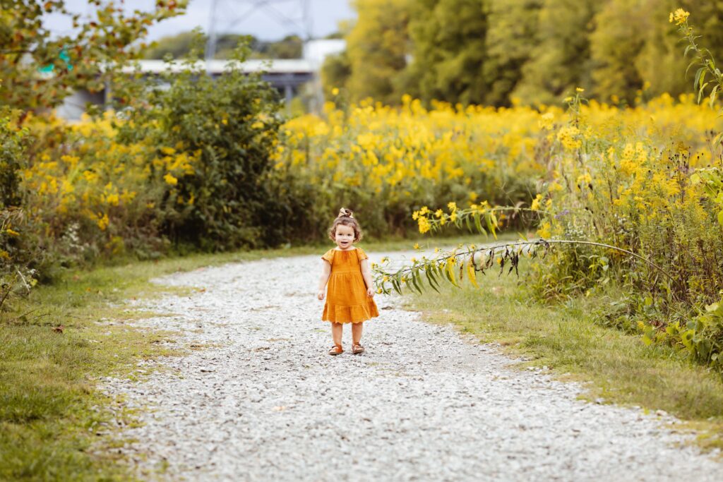 A little toddler in an mustard yellow dress on a gravel path with yellow wildflowers all around. Westfield family photographer.